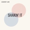 Shakin' It - Single