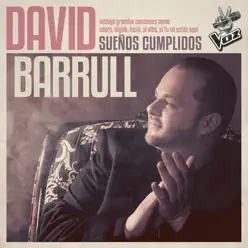 Sueños Cumplidos - David Barrull