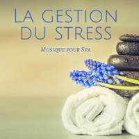 Maison Detente - La gestion du stress: Musique pour Spa, Musique pour massage et relaxation pour douleurs musculaires artwork