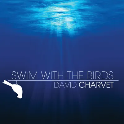Swim With the Birds - Single - David Charvet