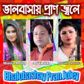 Ami Torey Bhalobashi Boley - Munia Moon
