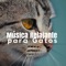 Dormir Bem - Paraíso Secreto & Pet Care Music Therapy lyrics