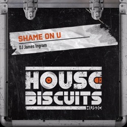 DJ James Ingram - Shame On U (Radio Edit)