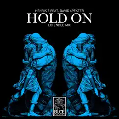 Hold On (feat. David Spekter) [Extended Mix] Song Lyrics