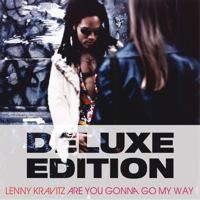 Lenny Kravitz - Are You Gonna Go My Way (20th Anniversary Deluxe Edition) artwork