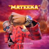 Chameleone - Mateeka