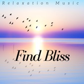 Find Bliss: Relaxation Music, Meditation, Yoga, Concentration, Massage Music artwork
