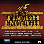 Tough Enough (Music From the Hit Series) artwork
