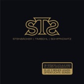 S.T.S – Die größten Hits aus über 30 Jahren Bandgeschichte artwork