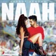 NAAH cover art