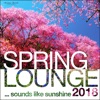 Spring Lounge 2018 - Sounds Like Sunshine, 2018