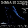 Holla Fi Buddy Riddim - Single, 2011