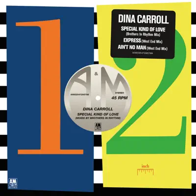 Special Kind of Love - Single - Dina Carroll