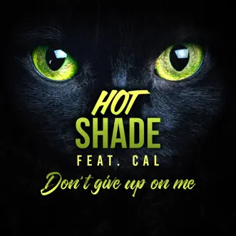 Don't Give up on Me (feat. Cal) by Hot Shade song reviws