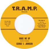 George E. Johnson - Wake Me Up