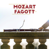 Mozart Fagott - Hanno Dönneweg, Schwarzwald Kammerorchester, Leitung: Karsten Dönneweg - Various Artists & Karsten Dönneweg