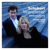 Schubert: Wanderer artwork