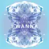 Stream & download I Wanna - Single