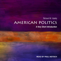 Richard M. Valelly - American Politics: A Very Short Introduction artwork