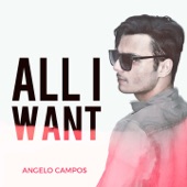 All I Want artwork