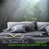 Bien dormir et réveil : musique relaxante avec sons de la nature artwork