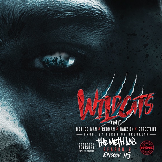Cover artwork for Wild Cats (feat. Redman, Streetlife & Hanz On)
