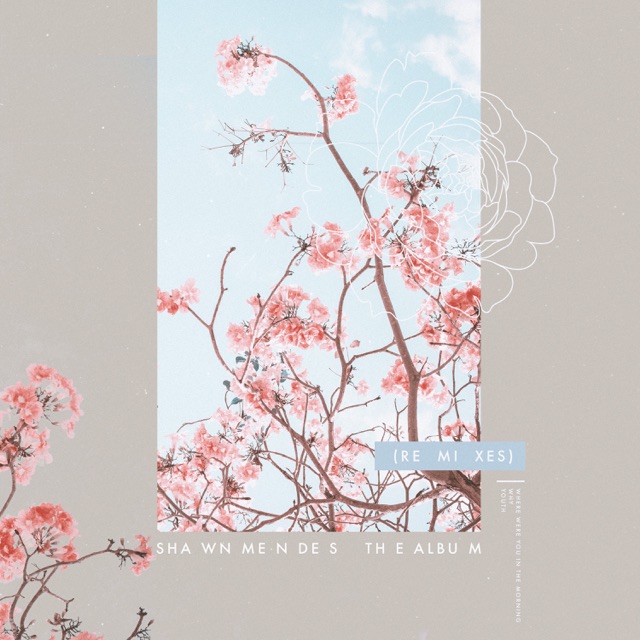 Shawn Mendes The Album (Remixes) - Single Album Cover