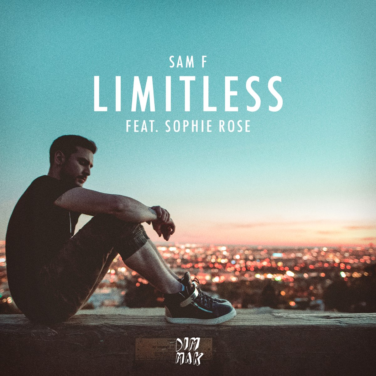 Ft. Софи. Feat. Софи фото. Sam f. Album Art Limitless Limitless.