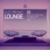 Electronic Lounge (25 Electronic Flavoured Lounge Tunes), Vol. 1