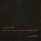There's a Light That Enters Houses With No Other House In Sight (feat. Franz Wright & Christian Fennesz) artwork