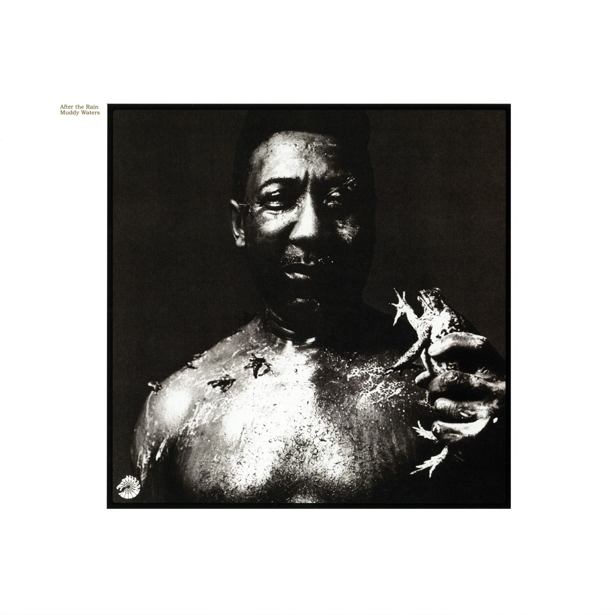 after-the-rain-de-muddy-waters-en-apple-music