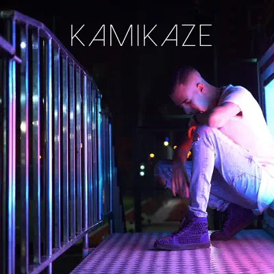 Kamikaze - Single - Mr. Crazy
