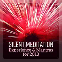 Silent Meditation Experience & Mantras for 2018 - Doorway to Peace, Path Toward Reflection, Year of Serene Yoga, Journey for Spiritual Progress by Great Meditation Guru album reviews, ratings, credits