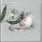Tulpa - Cora lyrics