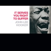 John Lee Hooker - It Serves You Right to Suffer