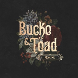 Bucko & Toad - If I Gotta - Line Dance Musik