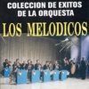 Colección de Éxitos, 1995