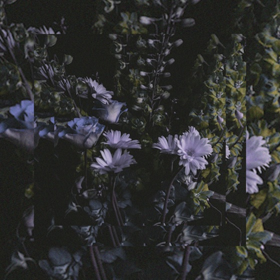 Cover artwork for Holy God