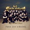 Para Ser Sincero - Single