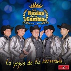 Los Reales De La Cumbia - Aprendiste a Volar