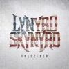 Lynyrd Skynyrd - Sweet Home Alabama