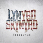 Lynyrd Skynyrd - Truck Drivin' Man