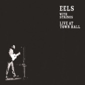 Eels - Girl from the North Country (Live)