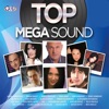 Top Mega Sound