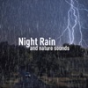 Night Rain and Nature Sounds