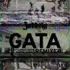 Gata Remixer - Single album lyrics, reviews, download