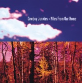 Cowboy Junkies - Hollow As A Bone