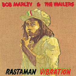 Bob Marley - Positive Vibration