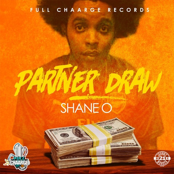 Cover artwork for Partner Draw