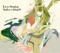 Luv (sic) Grand Finale (feat. Shing02) - Nujabes lyrics